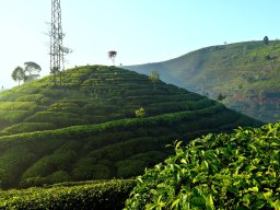 Pemandangan